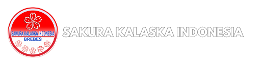 logo sakura kalaska indonesia